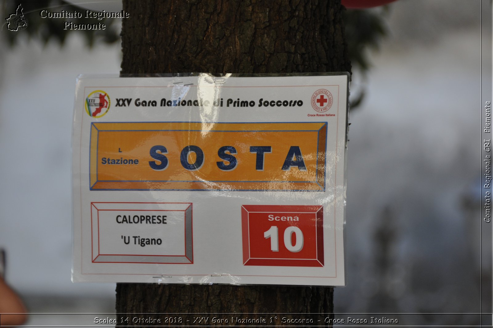 Scalea 14 Ottobre 2018 - XXV Gara Nazionale 1 Soccorso - Croce Rossa Italiana- Comitato Regionale del Piemonte