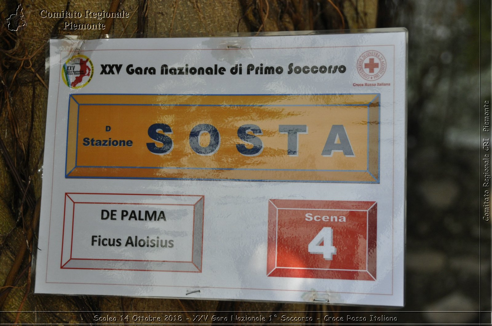 Scalea 14 Ottobre 2018 - XXV Gara Nazionale 1 Soccorso - Croce Rossa Italiana- Comitato Regionale del Piemonte