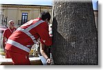 Scalea 14 Ottobre 2018 - XXV Gara Nazionale 1 Soccorso - Croce Rossa Italiana- Comitato Regionale del Piemonte