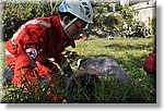 Scalea 14 Ottobre 2018 - XXV Gara Nazionale 1 Soccorso - Croce Rossa Italiana- Comitato Regionale del Piemonte