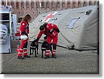 Galliate 9 Dicembre 2018 - Babbo Natale al Castello di Galliate - Croce Rossa Italiana- Comitato Regionale del Piemonte