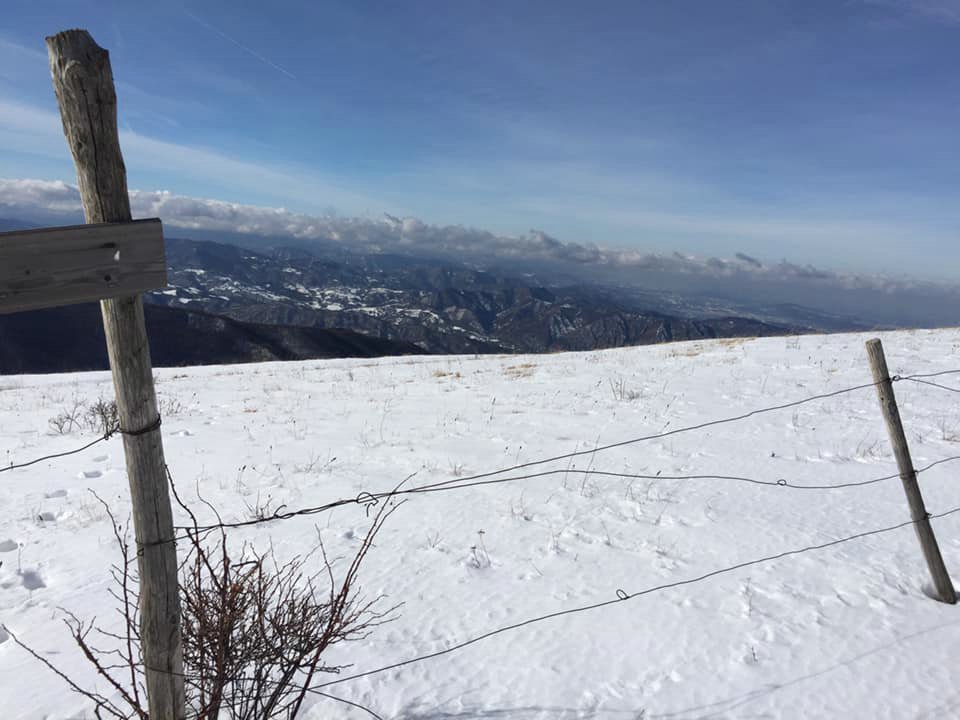 Chieri 10 Febbraio 2019 - La CRI al carnevale di Chieri- Croce Rossa Italiana - Comitato Regionale del Piemonte