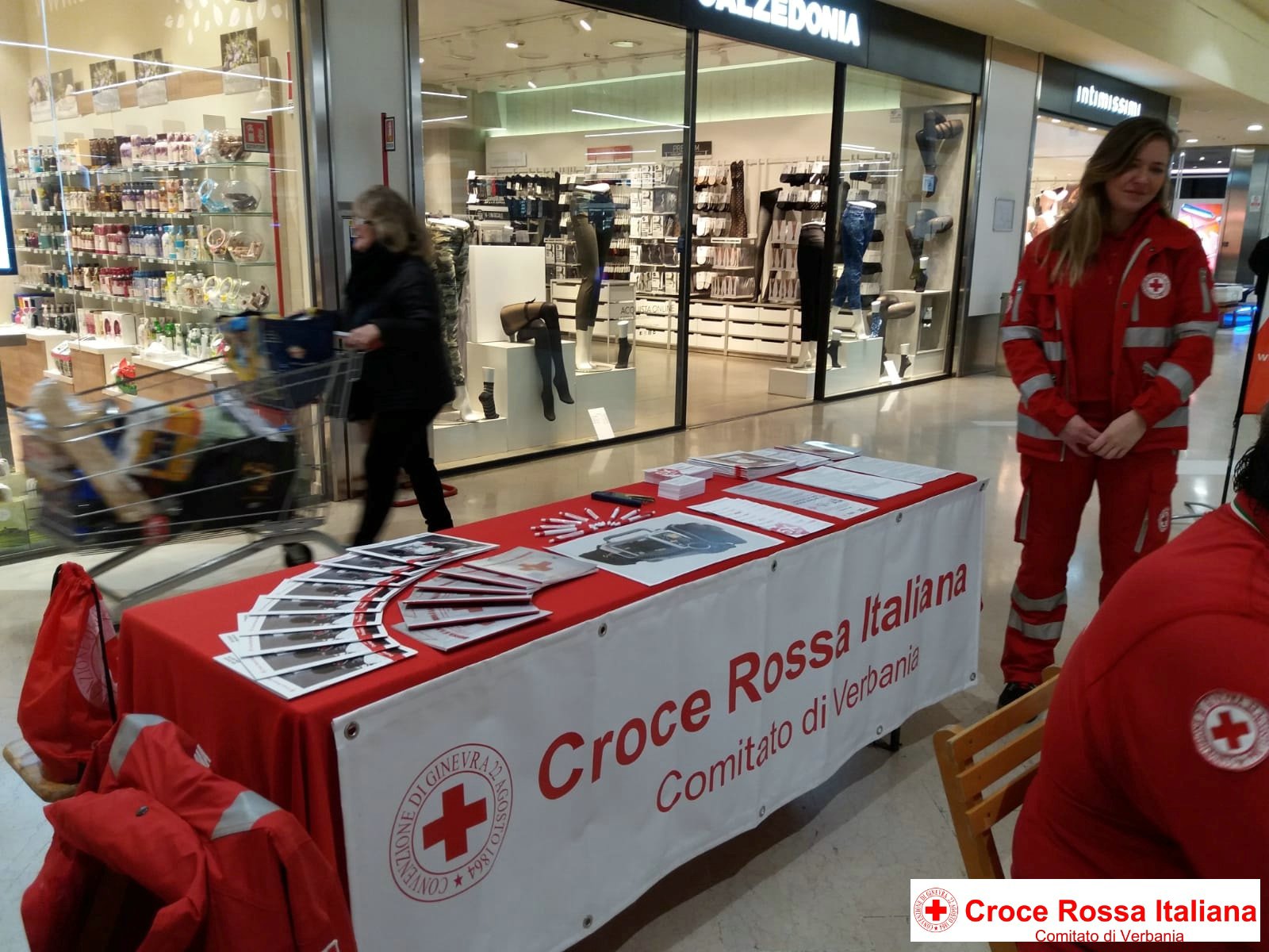 Torino 17 Febbraio 2019 - Raccolta Fondi Centri Commerciali - Croce Rossa Italiana - Comitato Regionale del Piemonte