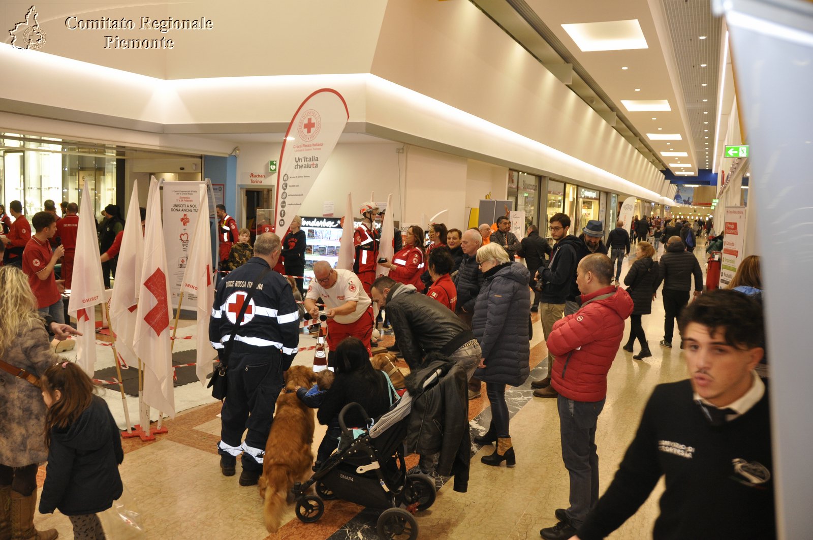 Torino 24 Febbraio 2019 - 2 Appuntamento con i Centri Commerciali - Croce Rossa Italiana - Comitato Regionale del Piemonte