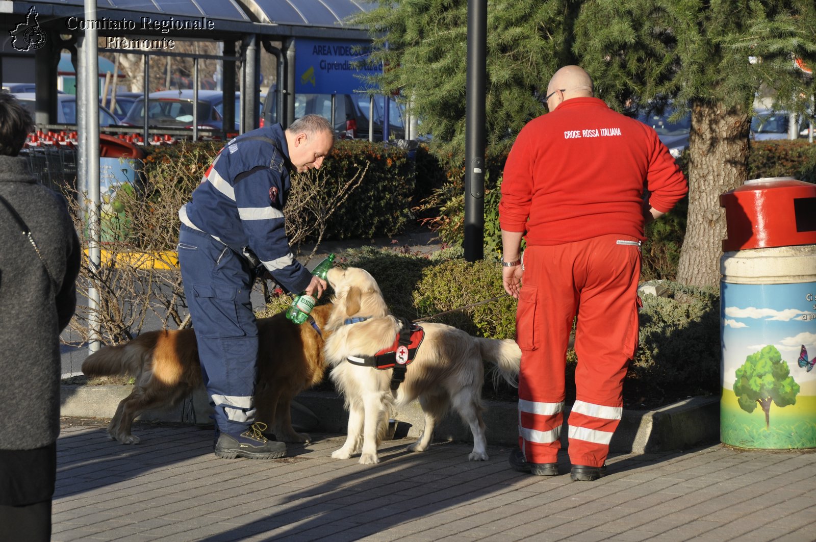 Torino 24 Febbraio 2019 - 2 Appuntamento con i Centri Commerciali - Croce Rossa Italiana - Comitato Regionale del Piemonte