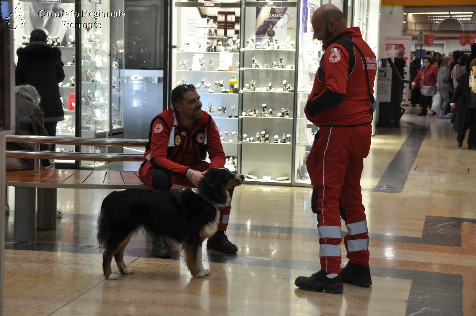 Torino 24 Febbraio 2019 - 2 Appuntamento con i Centri Commerciali - Croce Rossa Italiana - Comitato Regionale del Piemonte