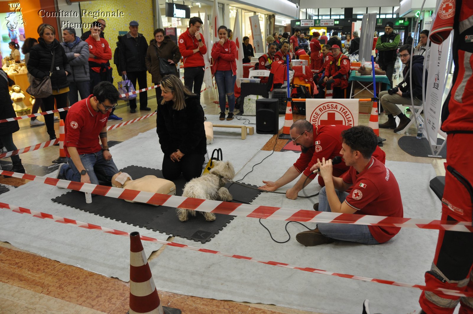 Torino 24 Febbraio 2019 - 2 Appuntamento con i Centri Commerciali - Croce Rossa Italiana - Comitato Regionale del Piemonte