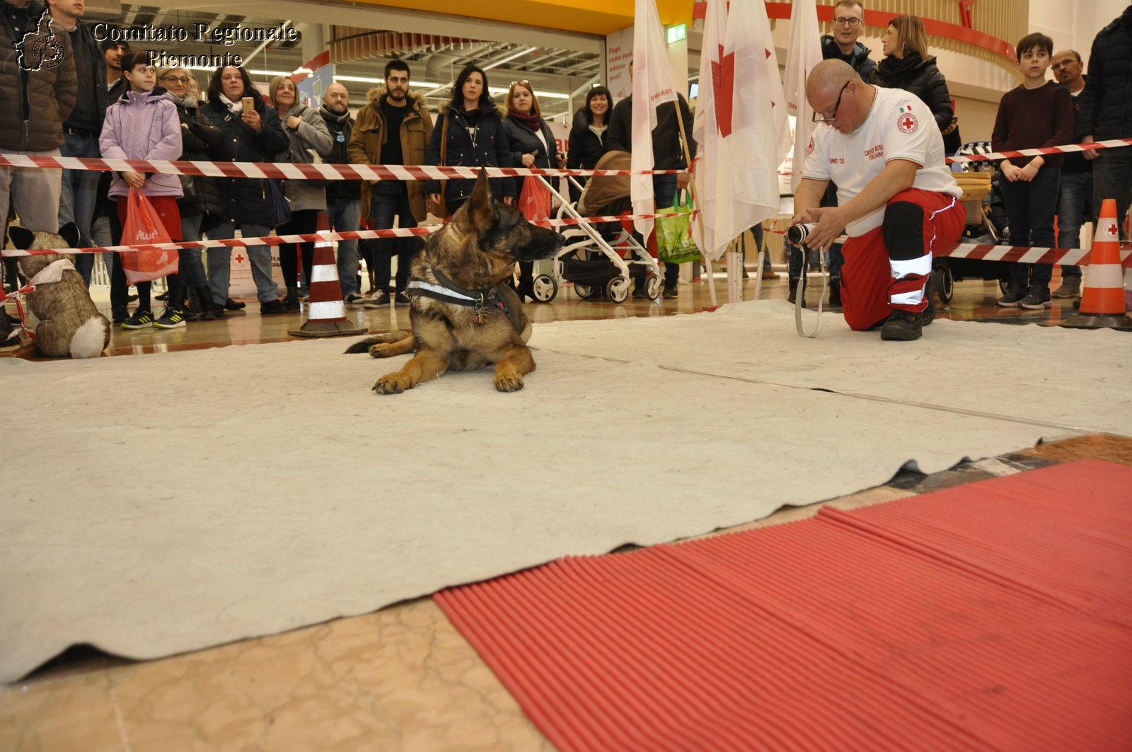 Torino 24 Febbraio 2019 - 2 Appuntamento con i Centri Commerciali - Croce Rossa Italiana - Comitato Regionale del Piemonte