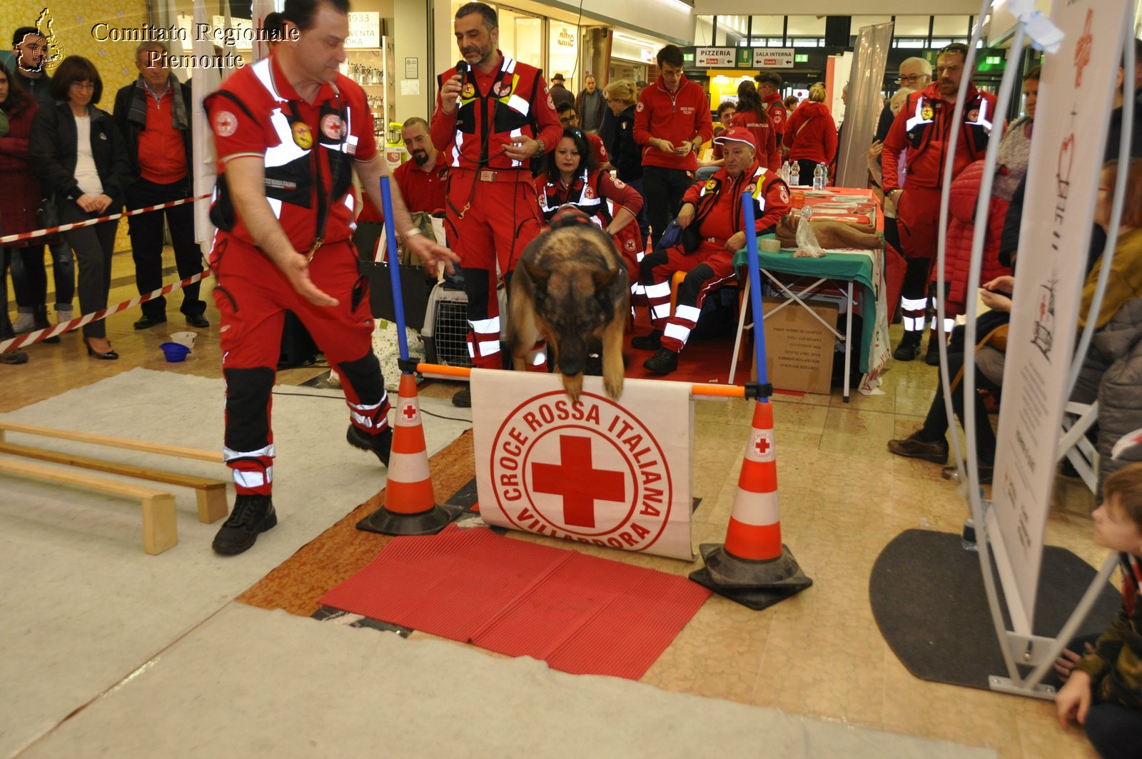 Torino 24 Febbraio 2019 - 2 Appuntamento con i Centri Commerciali - Croce Rossa Italiana - Comitato Regionale del Piemonte