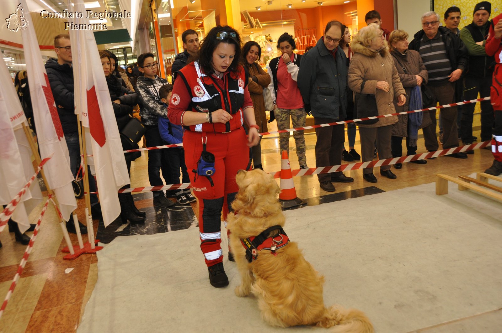 Torino 24 Febbraio 2019 - 2 Appuntamento con i Centri Commerciali - Croce Rossa Italiana - Comitato Regionale del Piemonte