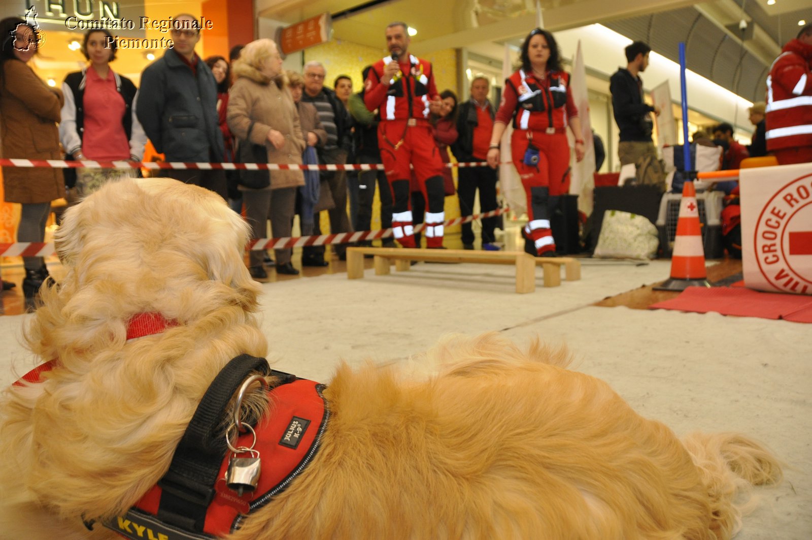 Torino 24 Febbraio 2019 - 2 Appuntamento con i Centri Commerciali - Croce Rossa Italiana - Comitato Regionale del Piemonte