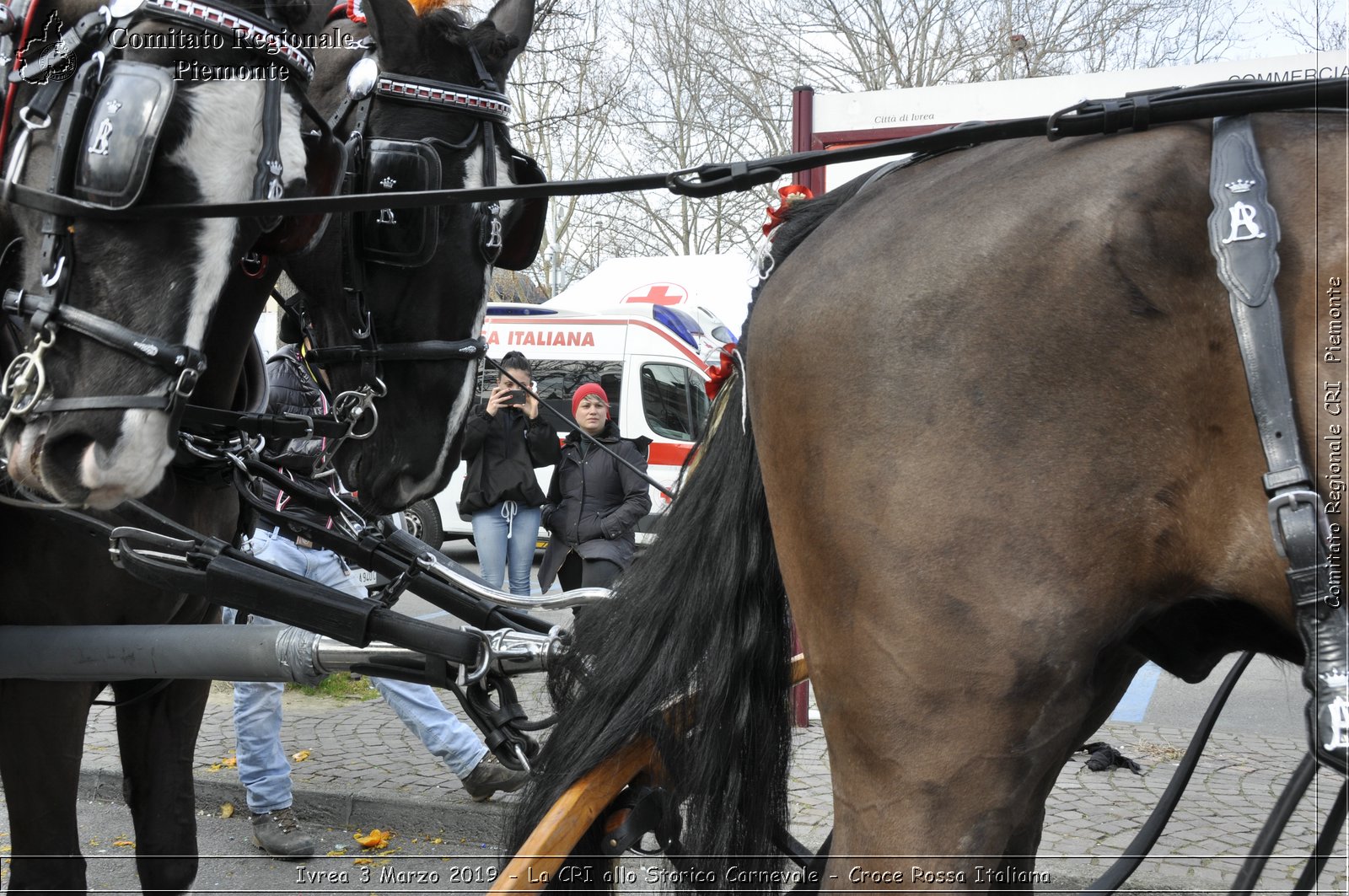 Ivrea 3 Marzo 2019 - La CRI allo Storico Carnevale - Croce Rossa Italiana - Comitato Regionale del Piemonte