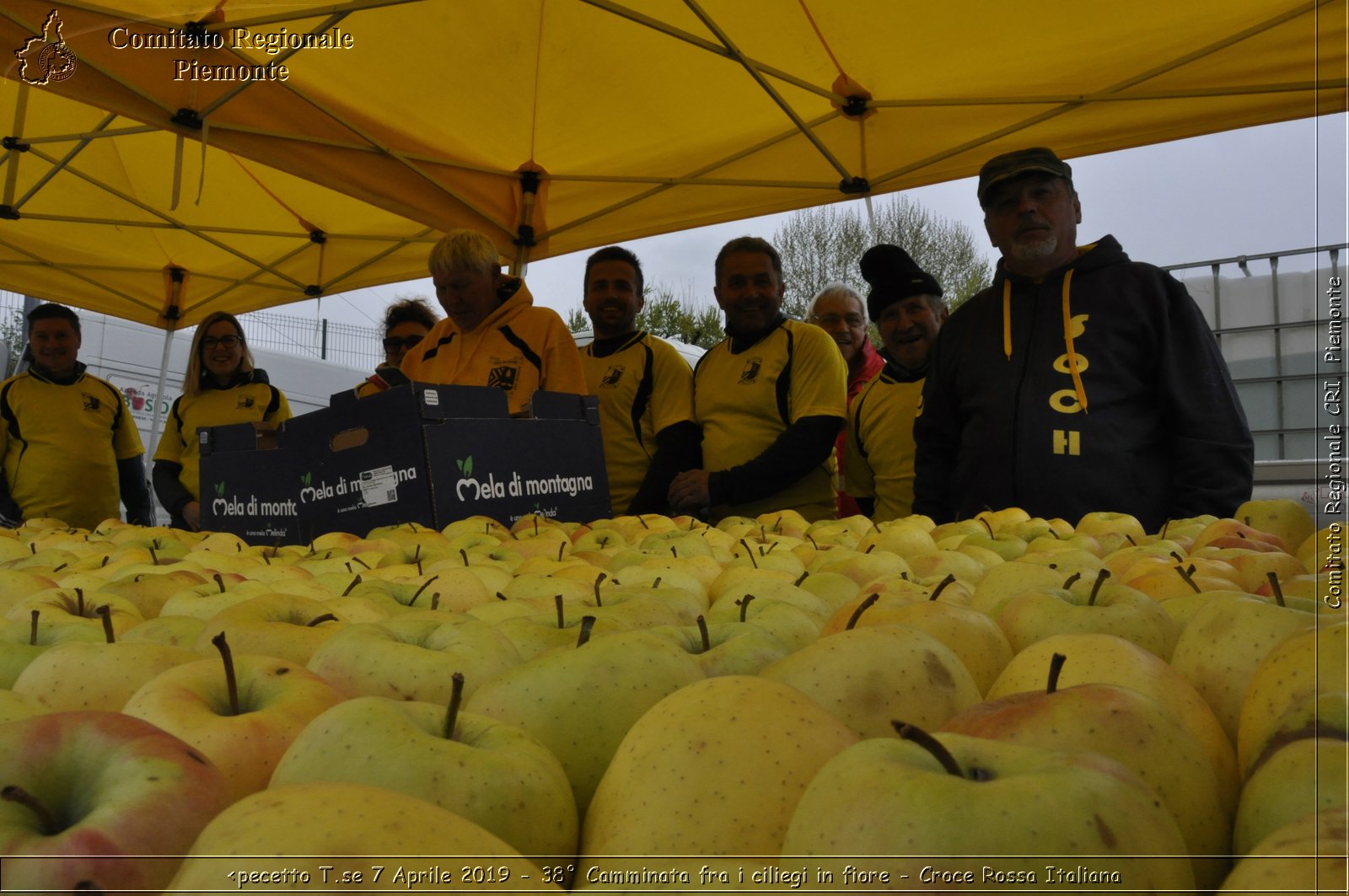 Pecetto T.se 7 Aprile 2019 - 38 Camminata fra i ciliegi in fiore - Croce Rossa Italiana - Comitato Regionale del Piemonte