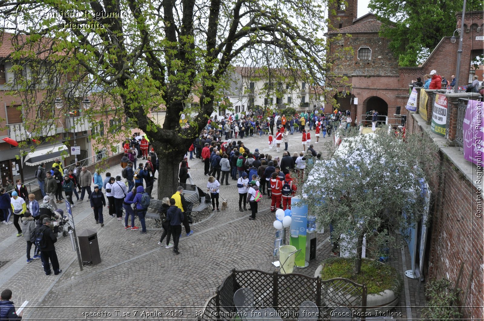 Pecetto T.se 7 Aprile 2019 - 38 Camminata fra i ciliegi in fiore - Croce Rossa Italiana - Comitato Regionale del Piemonte