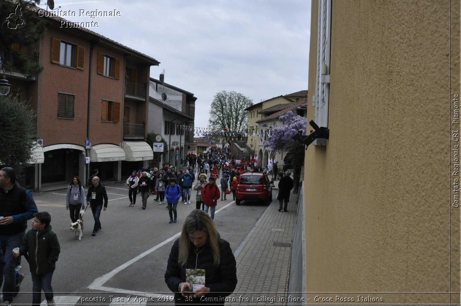 Pecetto T.se 7 Aprile 2019 - 38 Camminata fra i ciliegi in fiore - Croce Rossa Italiana - Comitato Regionale del Piemonte