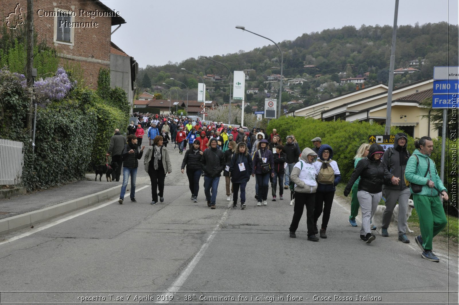 Pecetto T.se 7 Aprile 2019 - 38 Camminata fra i ciliegi in fiore - Croce Rossa Italiana - Comitato Regionale del Piemonte