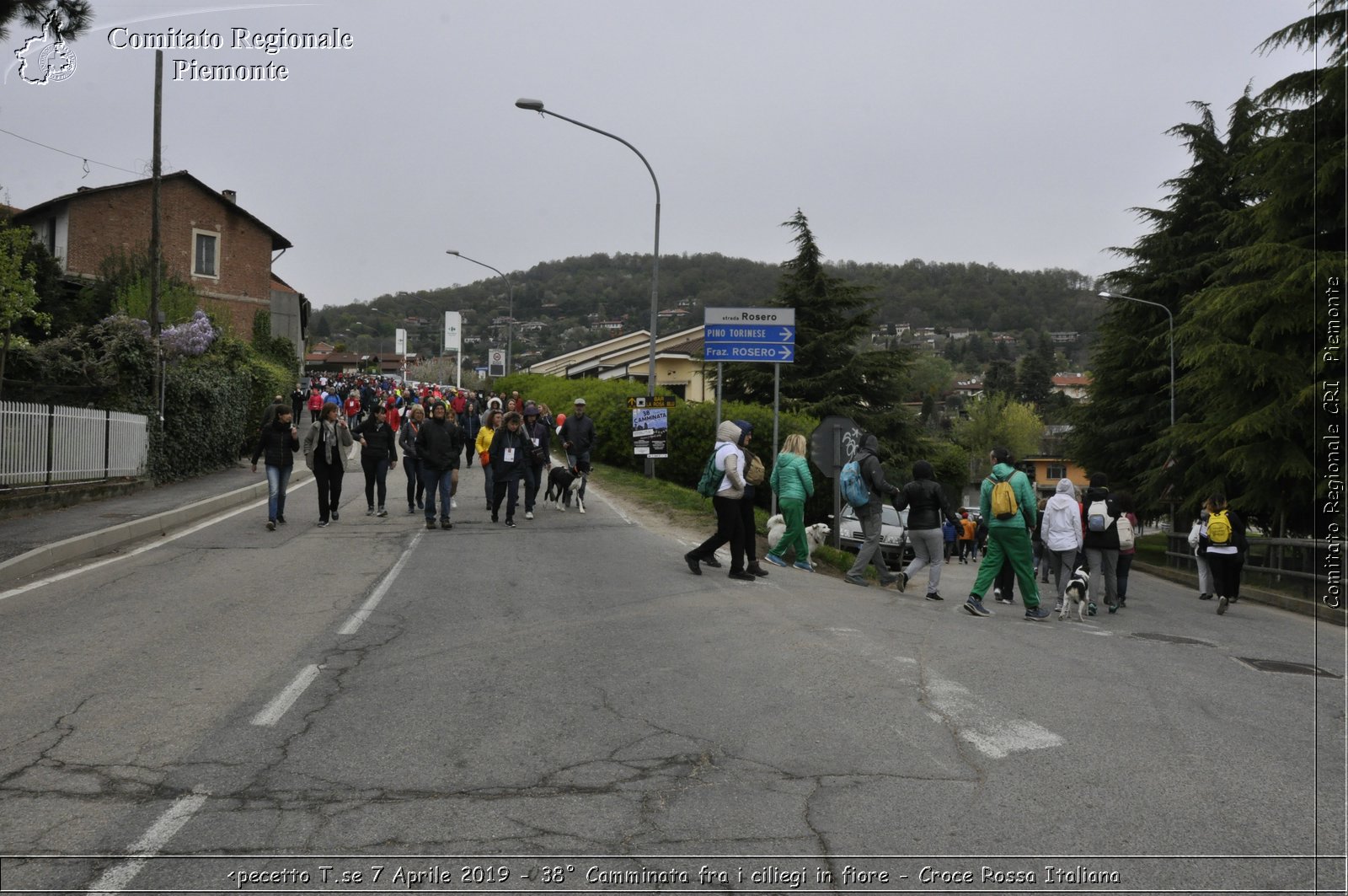 Pecetto T.se 7 Aprile 2019 - 38 Camminata fra i ciliegi in fiore - Croce Rossa Italiana - Comitato Regionale del Piemonte