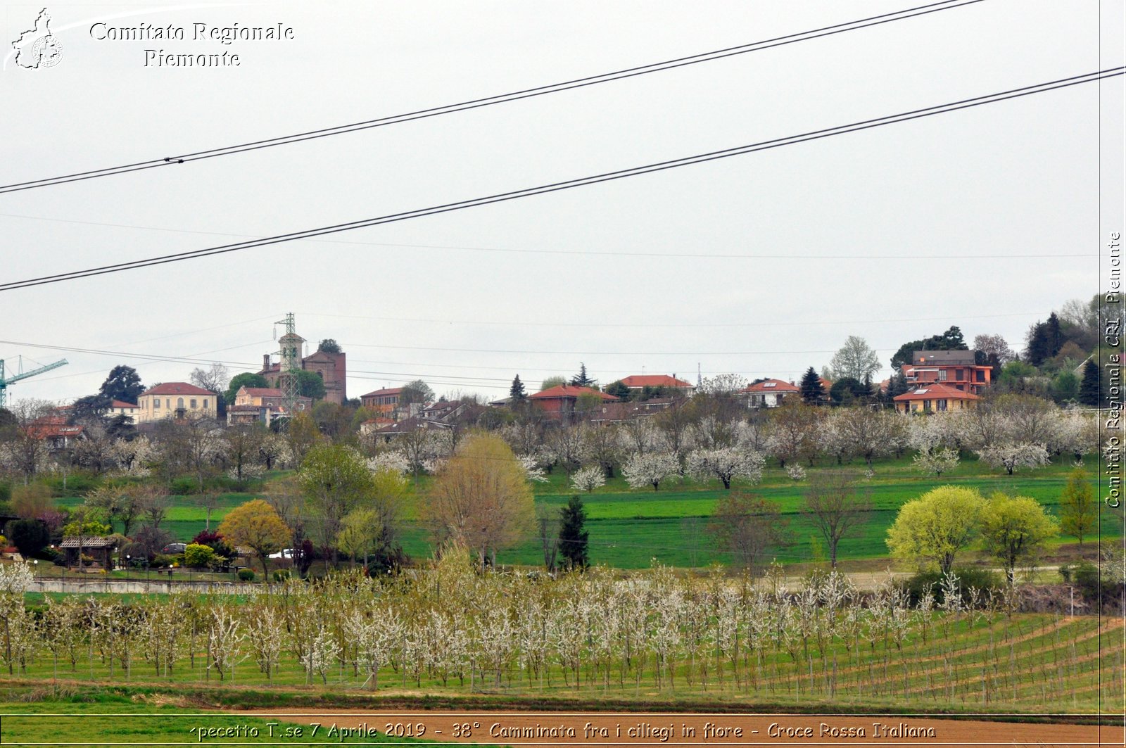 Pecetto T.se 7 Aprile 2019 - 38 Camminata fra i ciliegi in fiore - Croce Rossa Italiana - Comitato Regionale del Piemonte