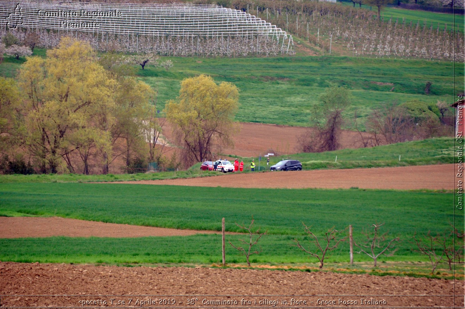 Pecetto T.se 7 Aprile 2019 - 38 Camminata fra i ciliegi in fiore - Croce Rossa Italiana - Comitato Regionale del Piemonte