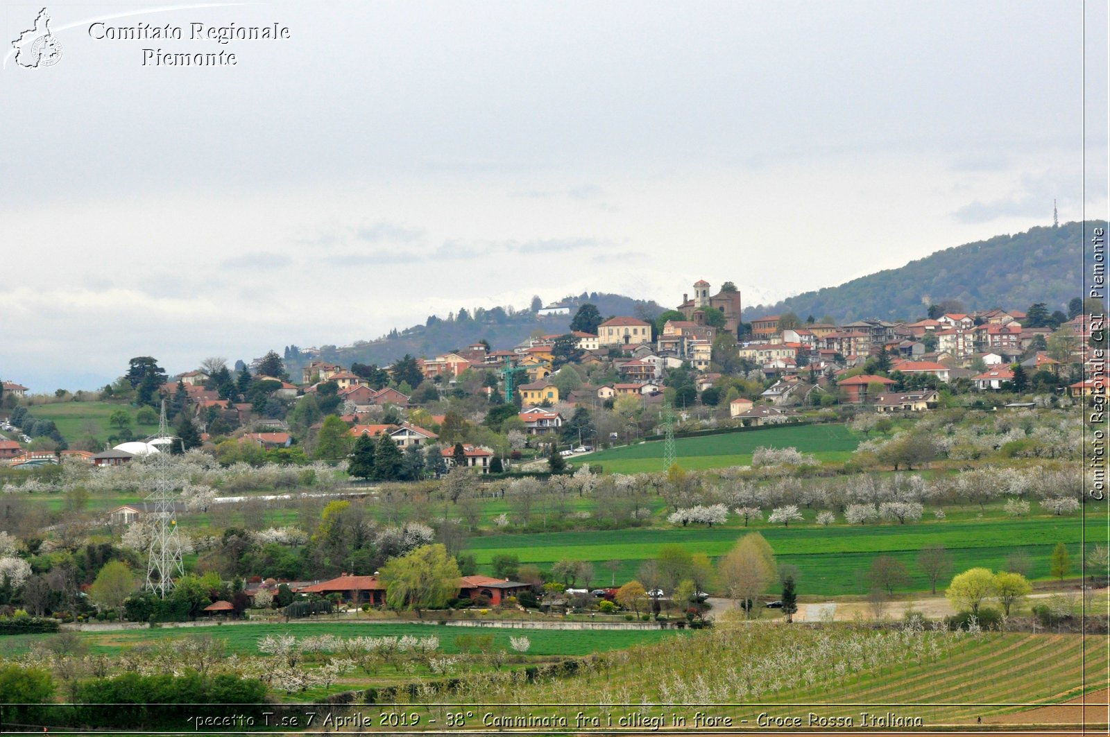 Pecetto T.se 7 Aprile 2019 - 38 Camminata fra i ciliegi in fiore - Croce Rossa Italiana - Comitato Regionale del Piemonte