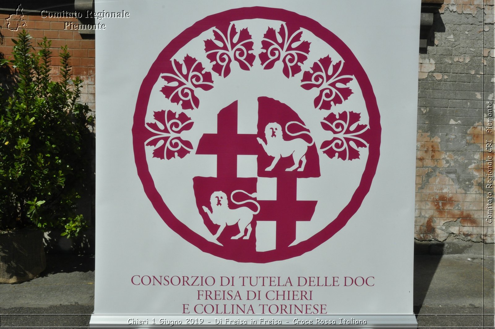 Chieri 1 Giugno 2019 - Di Freisa in Freisa - Croce Rossa Italiana - Comitato Regionale del Piemonte