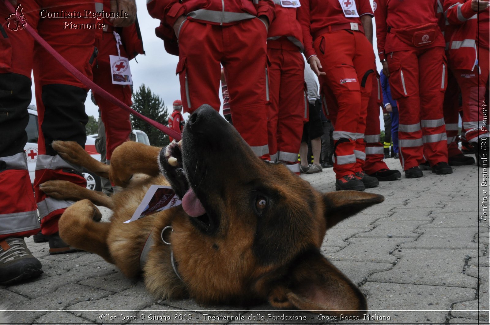 Villar Dora 9 Giugno 2019 - Trentennale dalla Fondazione - Croce Rossa Italiana - Comitato Regionale del Piemonte