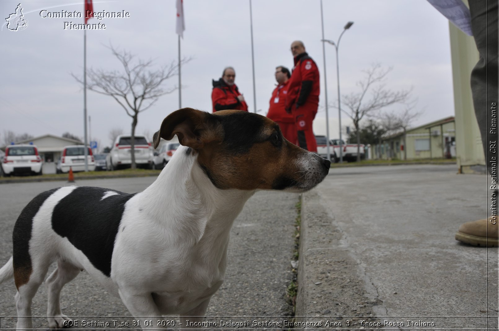 COE Settimo T.se 31 01 2020 - Incontro Delegati Settore Emergenze Area 3 - Croce Rossa Italiana