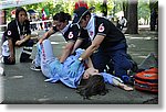 FACE 2010 - First Aid Convention in Europe 8-11 July 2010 Belgrade  - Croce Rossa Italiana - Ispettorato Regionale Volontari del Soccorso Piemonte