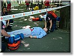 FACE 2010 - First Aid Convention in Europe 8-11 July 2010 Belgrade  - Croce Rossa Italiana - Ispettorato Regionale Volontari del Soccorso Piemonte