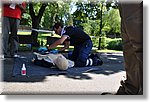 FACE 2010 - First Aid Convention in Europe 8-11 July 2010 Belgrade  - Croce Rossa Italiana - Ispettorato Regionale Volontari del Soccorso Piemonte