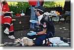 FACE 2010 - First Aid Convention in Europe 8-11 July 2010 Belgrade  - Croce Rossa Italiana - Ispettorato Regionale Volontari del Soccorso Piemonte