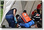 FACE 2010 - First Aid Convention in Europe 8-11 July 2010 Belgrade  - Croce Rossa Italiana - Ispettorato Regionale Volontari del Soccorso Piemonte