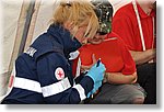 FACE 2010 - First Aid Convention in Europe 8-11 July 2010 Belgrade  - Croce Rossa Italiana - Ispettorato Regionale Volontari del Soccorso Piemonte