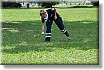 FACE 2010 - First Aid Convention in Europe 8-11 July 2010 Belgrade  - Croce Rossa Italiana - Ispettorato Regionale Volontari del Soccorso Piemonte