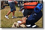 FACE 2010 - First Aid Convention in Europe 8-11 July 2010 Belgrade  - Croce Rossa Italiana - Ispettorato Regionale Volontari del Soccorso Piemonte