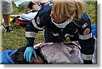 FACE 2010 - First Aid Convention in Europe 8-11 July 2010 Belgrade  - Croce Rossa Italiana - Ispettorato Regionale Volontari del Soccorso Piemonte