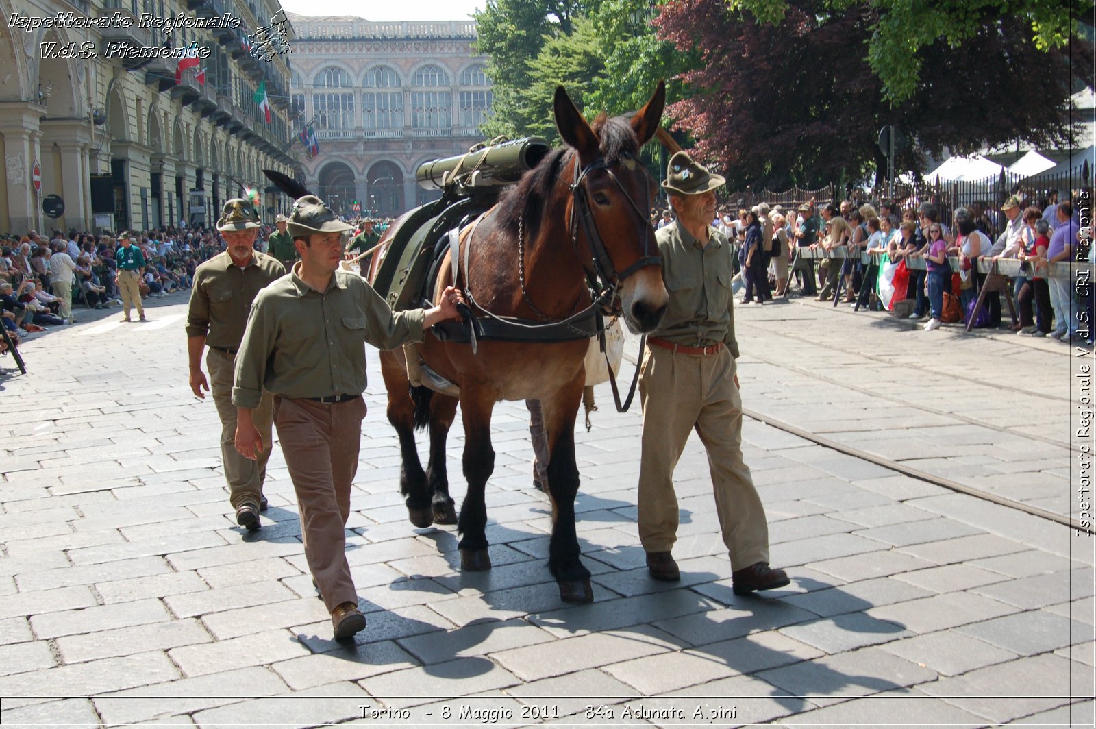 Torino  - 8 Maggio 2011 - 84a Adunata Nazionale Alpini -  Croce Rossa Italiana - Ispettorato Regionale Volontari del Soccorso Piemonte
