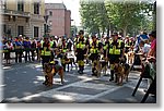 Torino  - 8 Maggio 2011 - 84a Adunata Nazionale Alpini - Croce Rossa Italiana - Ispettorato Regionale Volontari del Soccorso Piemonte