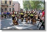 Torino  - 8 Maggio 2011 - 84a Adunata Nazionale Alpini - Croce Rossa Italiana - Ispettorato Regionale Volontari del Soccorso Piemonte