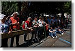 Torino  - 8 Maggio 2011 - 84a Adunata Nazionale Alpini - Croce Rossa Italiana - Ispettorato Regionale Volontari del Soccorso Piemonte